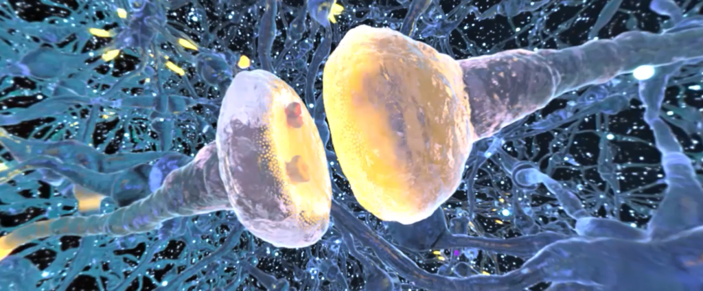 two neurons firing inside the brain